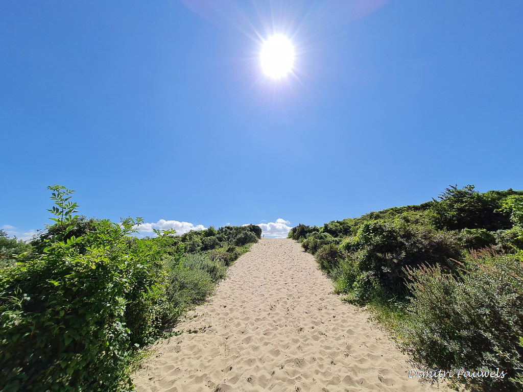 Lees meer over het artikel Westhoek (15,8 km)