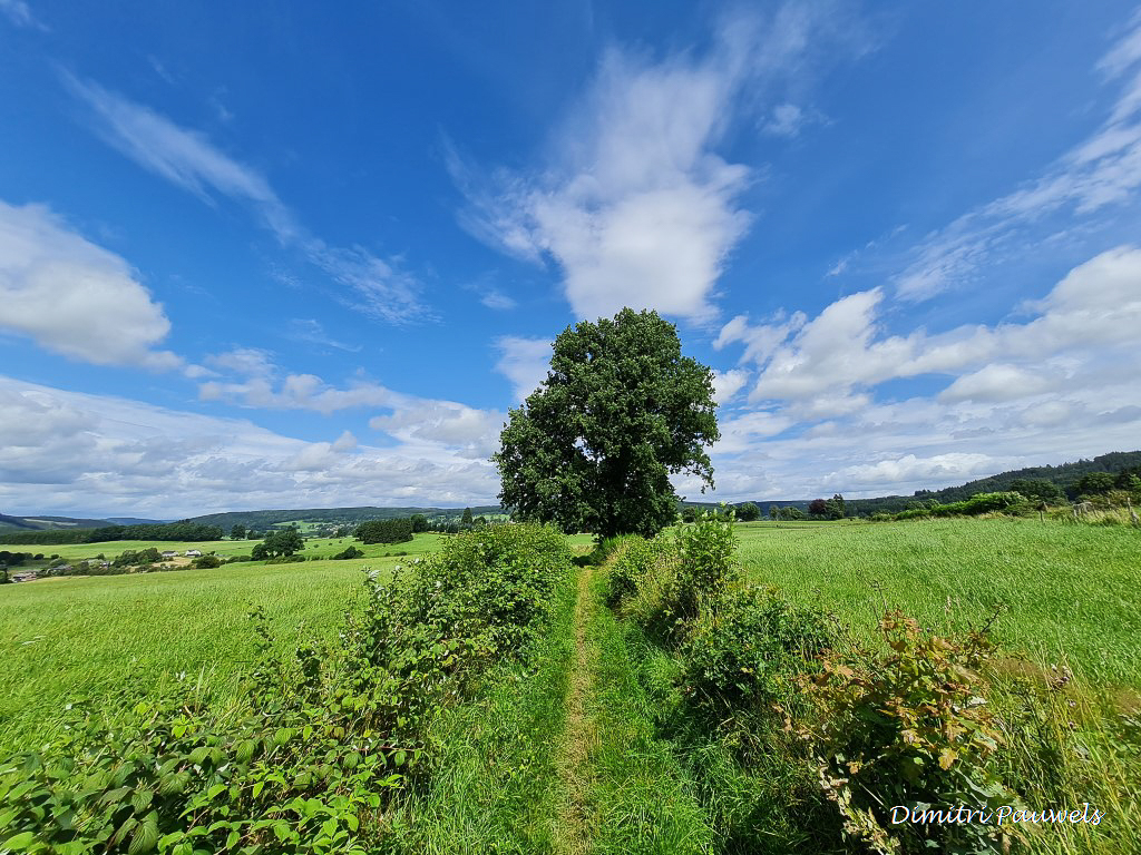 Lees meer over het artikel Vielsalm – Bartox Neuville (30,9 km)