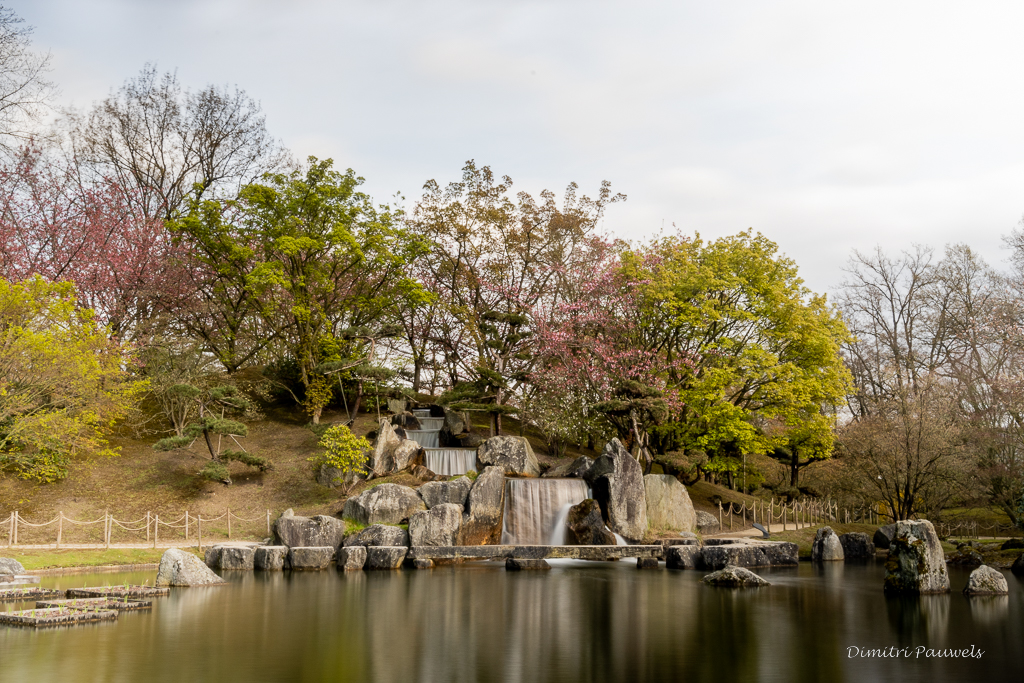 Lees meer over het artikel Japanse Tuin