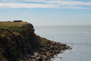 Lees meer over het artikel Cap Gris Nez (24,8 km)