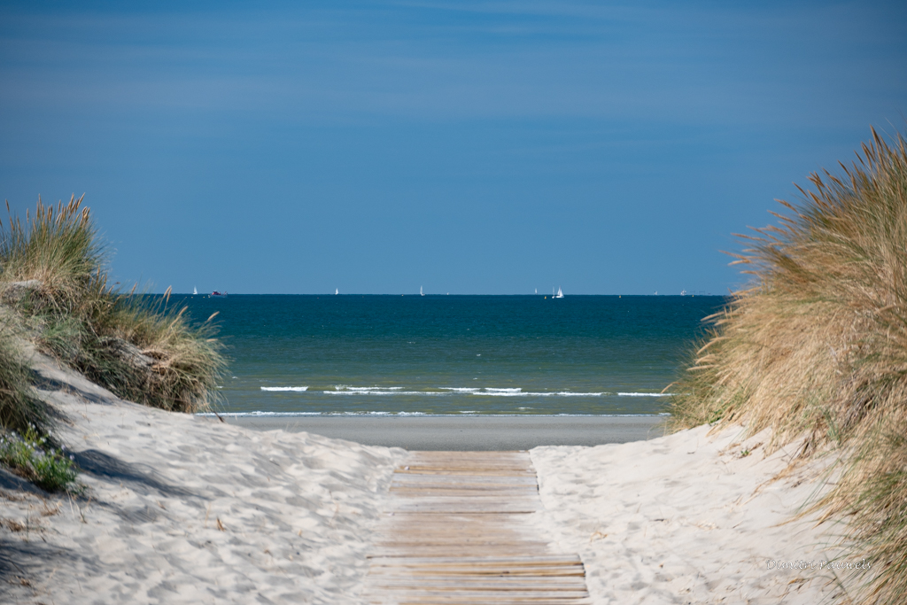 Lees meer over het artikel Oostduinkerke – Koksijde (14,4 km)