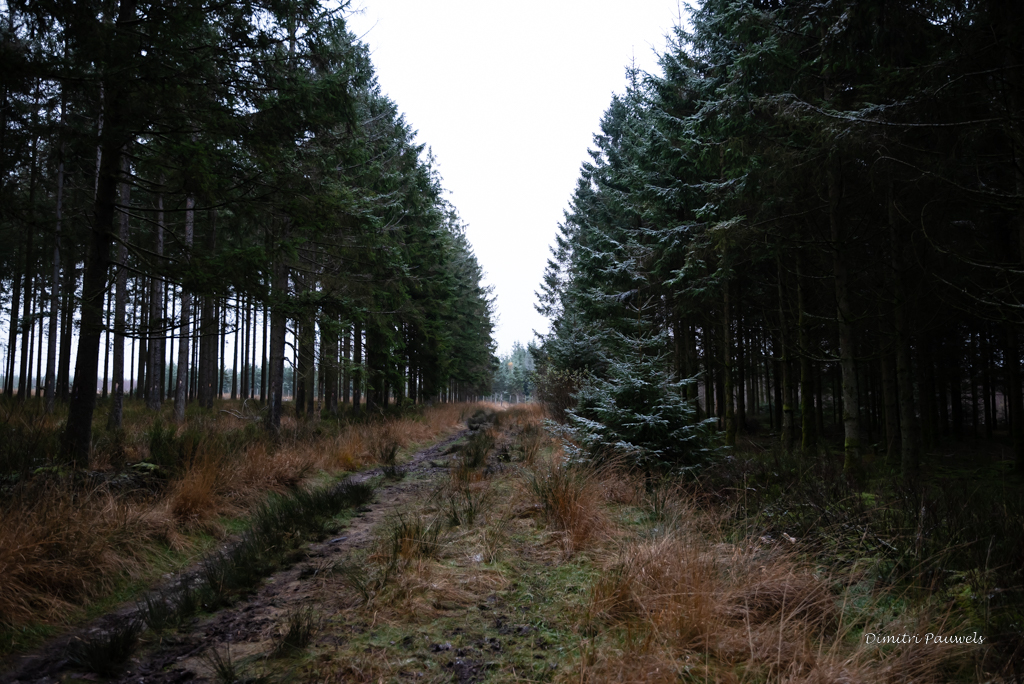 Lees meer over het artikel Canyon Trôs-Maret – Bayehon (16,8 km)