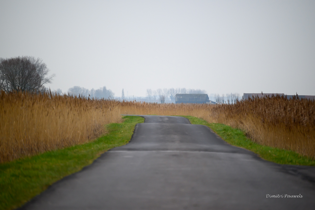 Lees meer over het artikel Uitkerkse Polder (18,4 km)