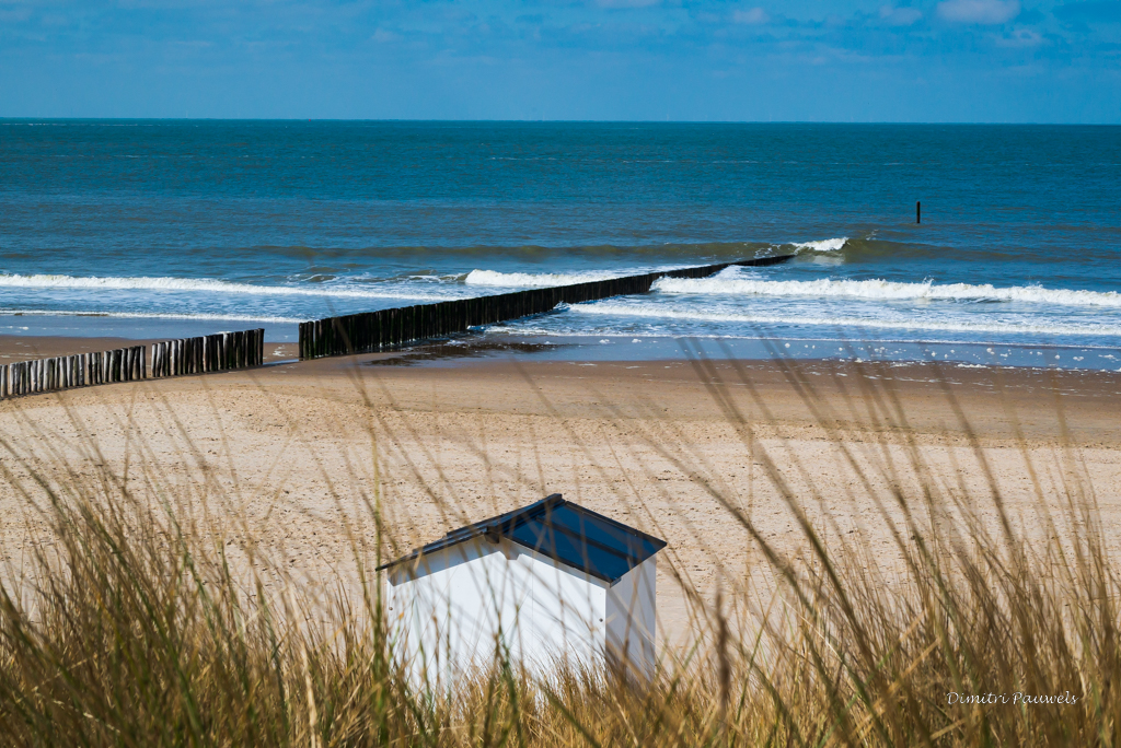 Lees meer over het artikel Cadzand (19,9 km)