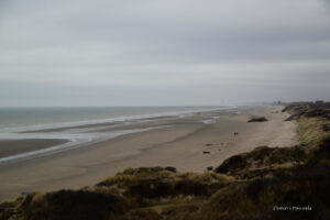 Lees meer over het artikel Bray-Dunes (16 km)