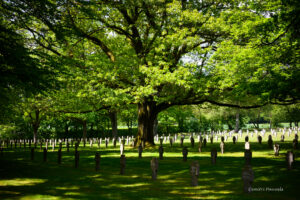 Lees meer over het artikel Sandweiler German war cemetery