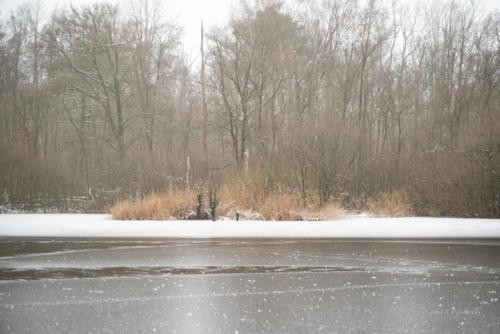 23-01 Turnhout Tussen Doolhof en Lieremanen