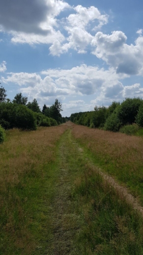 Hautes Fagnes