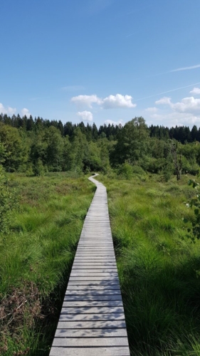 Hautes Fagnes