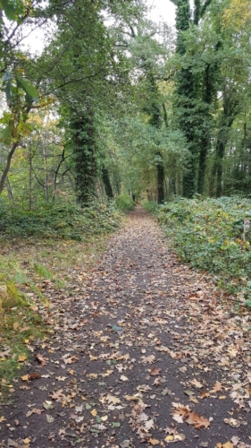 Wandelen door het Water