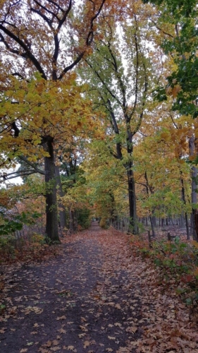 Wandelen door het Water