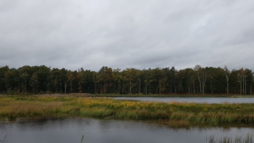 Wandelen door het Water