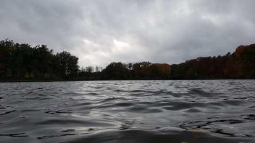 Wandelen door het Water