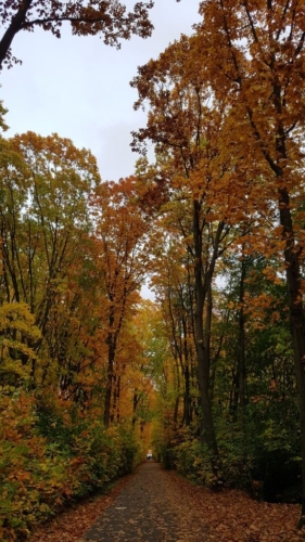 Wandelen door het Water