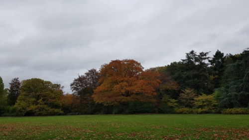 Wandelen door het Water