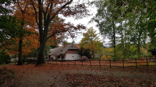 Wandelen door het Water