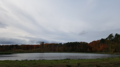 Wandelen door het Water