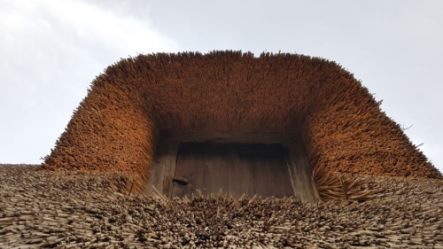 Wandelen door het Water