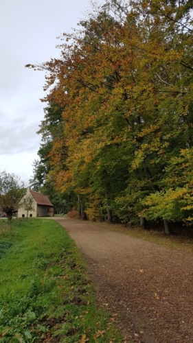 Wandelen door het Water