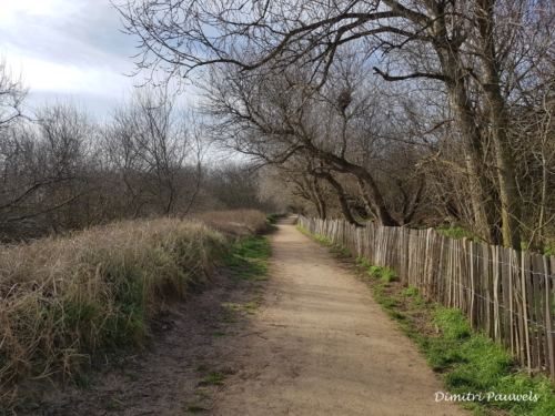 Blankenberge - Vosseslag