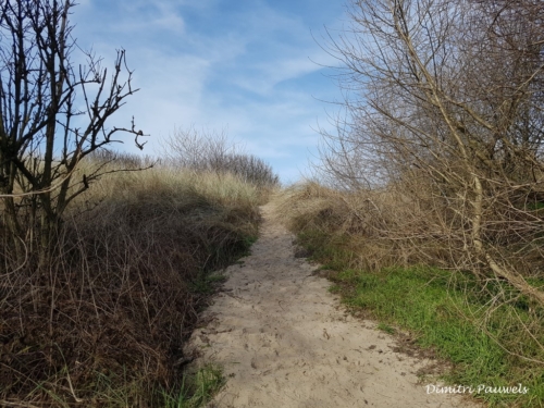 Blankenberge - Vosseslag