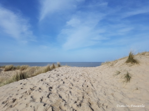 Blankenberge - Vosseslag