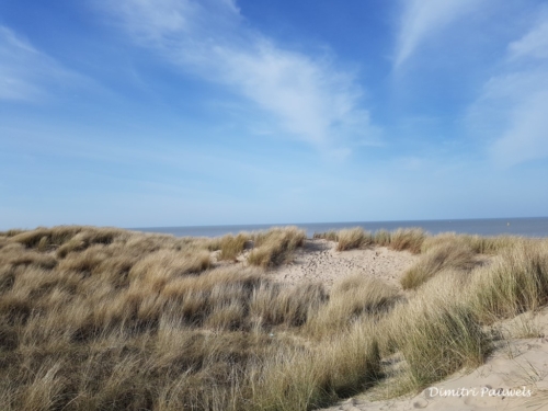 Blankenberge - Vosseslag