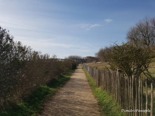 Blankenberge - Vosseslag