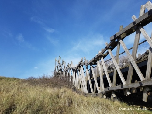 Blankenberge - Vosseslag