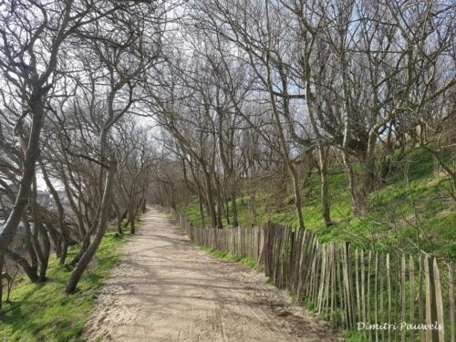 Blankenberge - Vosseslag