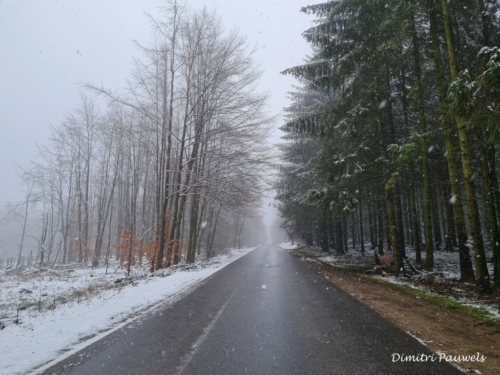 Mont - Reinhardstein