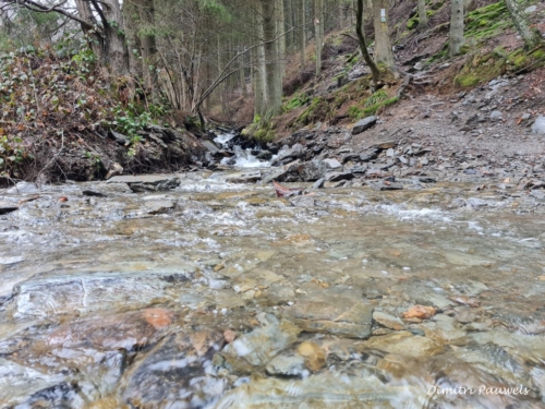 Mont - Reinhardstein