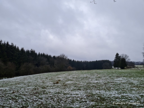 Mont - Reinhardstein