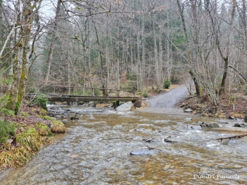 Mont - Reinhardstein