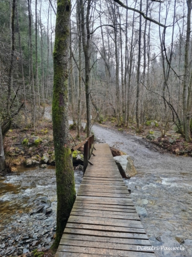 Mont - Reinhardstein