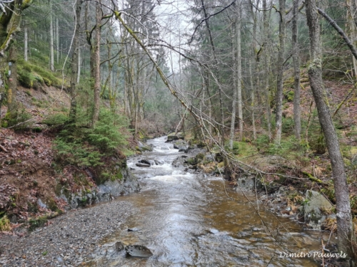 Mont - Reinhardstein