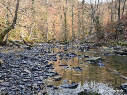 Mont - Reinhardstein