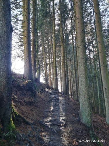 Mont - Reinhardstein