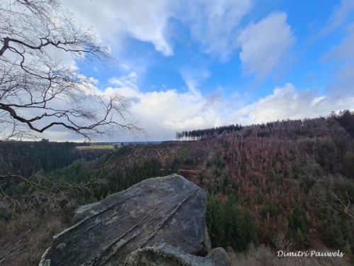 Mont - Reinhardstein