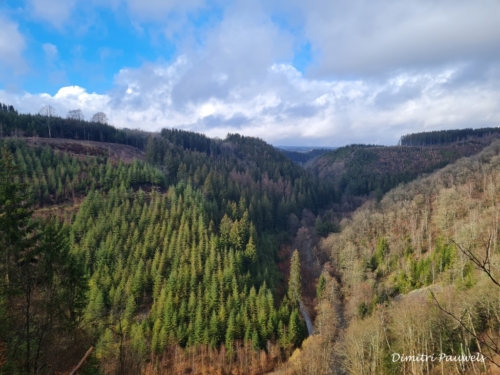 Mont - Reinhardstein