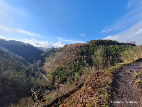 Mont - Reinhardstein