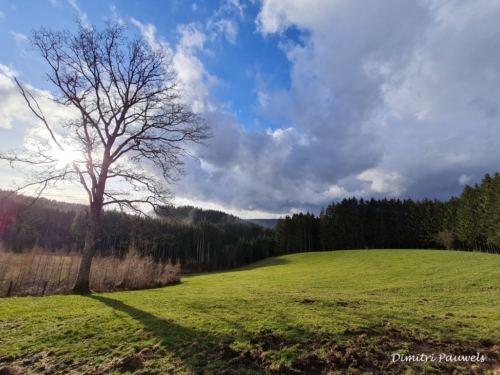 Mont - Reinhardstein