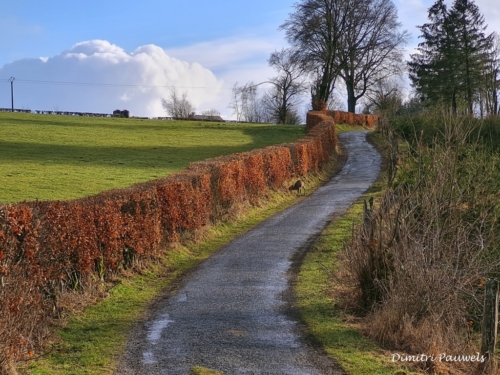 Mont - Reinhardstein