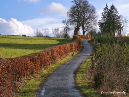 Mont - Reinhardstein
