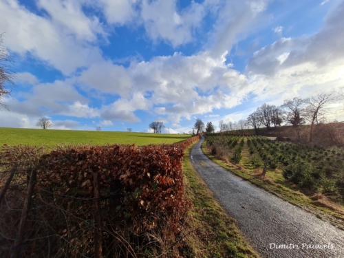 Mont - Reinhardstein
