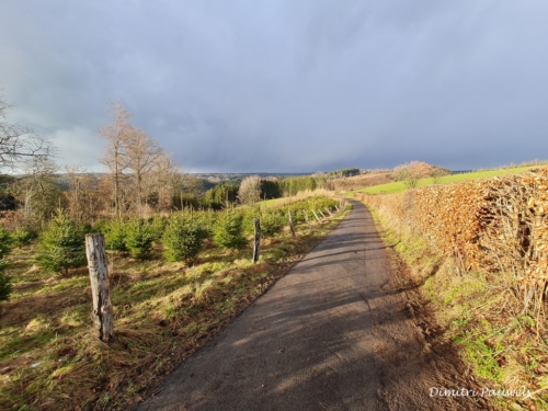 Mont - Reinhardstein