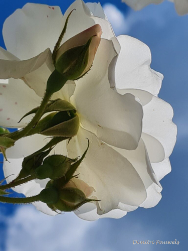 Voeren - Bronnenwandeling