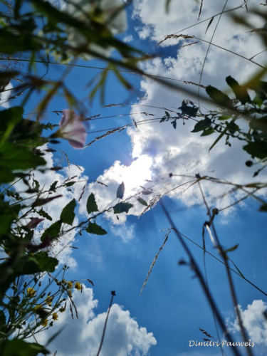 Voeren - Bronnenwandeling