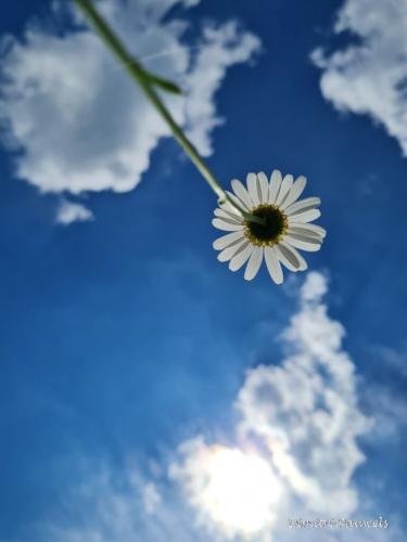 Voeren - Bronnenwandeling