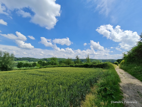 Voeren - Bronnenwandeling